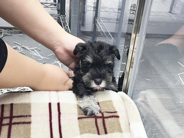 先生たち、楽しんでお世話しています☆
